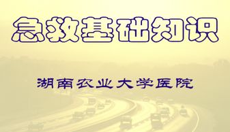 急救護(hù)理基礎(chǔ)知識(shí)匯總