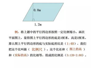 人體比例基礎(chǔ)知識,繪畫比例結(jié)構(gòu)基礎(chǔ)知識,第六單元基礎(chǔ)知識