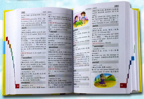 小學(xué)語(yǔ)數(shù)英基礎(chǔ)知識(shí)