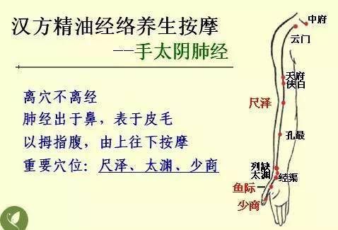 中醫(yī)基礎(chǔ)知識讀后感
