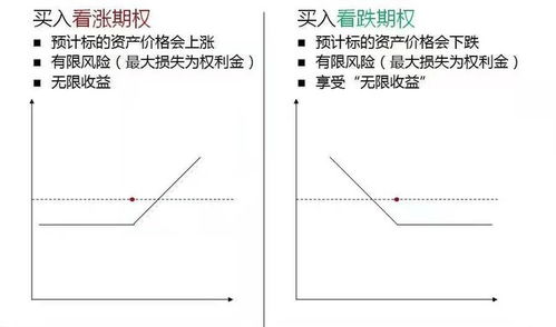 商品期權(quán)基礎(chǔ)知識(shí)答案