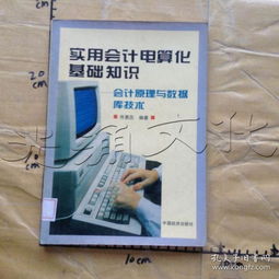 會計電算化基礎(chǔ)理論知識和專業(yè)技能