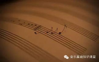 室內音樂(lè )欣賞的基礎知識