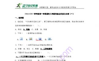 信息技術(shù),基礎(chǔ)知識(shí),八級(jí),復(fù)習(xí)