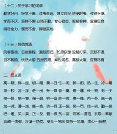 基礎(chǔ)知識,小學(xué)生