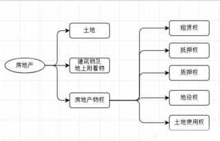 四個(gè)基礎(chǔ)內(nèi)容是指基本知識(shí)