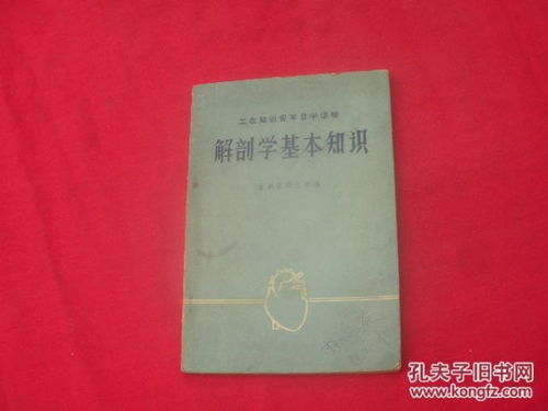 解剖基礎(chǔ)知識(shí)是什么