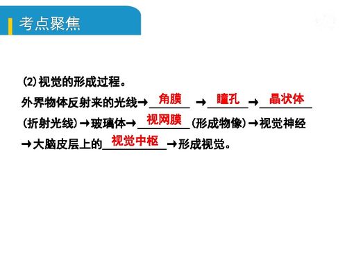 期中,基礎(chǔ)知識
