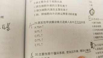 檢察專業(yè)基礎(chǔ)知識真題,審判專業(yè)基礎(chǔ)知識真題,檢察專業(yè)基礎(chǔ)知識難嗎