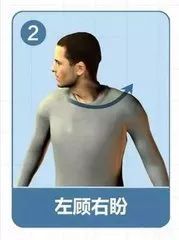 駕駛員,基礎(chǔ)知識(shí),車(chē)輛,職業(yè)