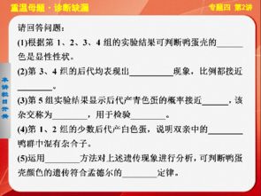 關(guān)于專(zhuān)題性總結(jié)的基礎(chǔ)知識(shí)