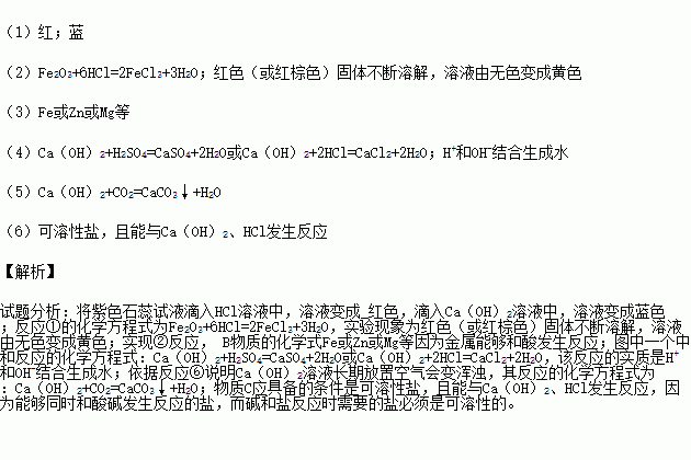 化學(xué)反應(yīng)與溶液基礎(chǔ)知識