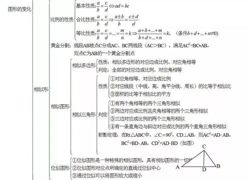 初中數(shù)學(xué)知識(shí)點(diǎn)基礎(chǔ)梳理