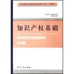 知識產(chǎn)權(quán)基礎(chǔ)先行