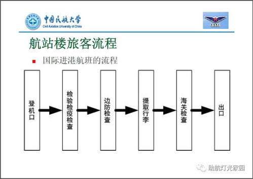 樁基礎(chǔ)知識(shí)培訓(xùn)