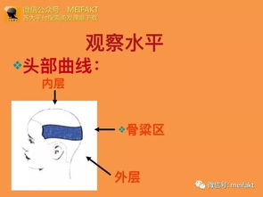 剪發(fā)原理基礎(chǔ)知識(shí)