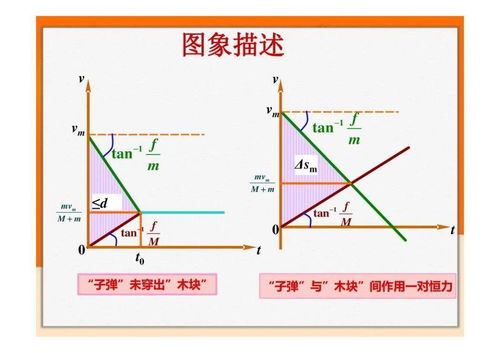 高一物理動(dòng)量基礎(chǔ)知識(shí)