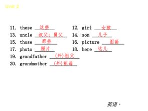 基礎(chǔ)知識(shí)怎么翻譯