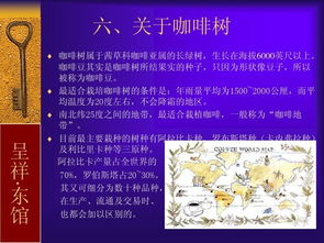 基礎(chǔ)知識(shí),入門(mén),咖啡