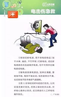 急救知識體會,軍訓急救知識心得,急救知識的培訓心得