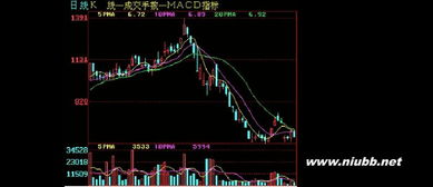 股線基礎(chǔ)知識
