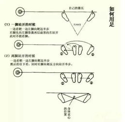 射箭教學(xué)基礎(chǔ)知識(shí)