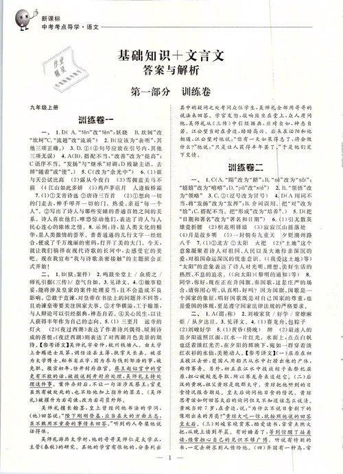 基礎(chǔ)知識(shí),高考語(yǔ)文