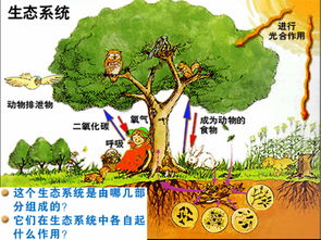 醫(yī)療公共衛(wèi)生基礎(chǔ)知識,公共衛(wèi)生基礎(chǔ)知識題庫,公共衛(wèi)生基礎(chǔ)知識考試題庫