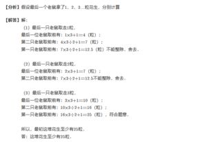 小學數(shù)學數(shù)論基礎(chǔ)知識