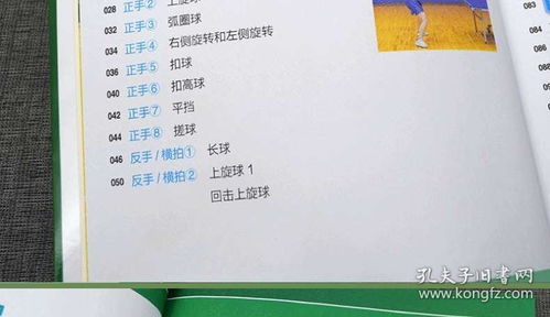 兵兵球基礎知識教案