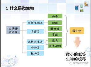 微生物代謝基礎知識