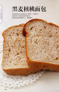 面包零基礎知識