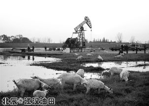 江漢油田采油地質(zhì)基礎(chǔ)知識