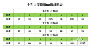 基礎(chǔ)知識,孔口