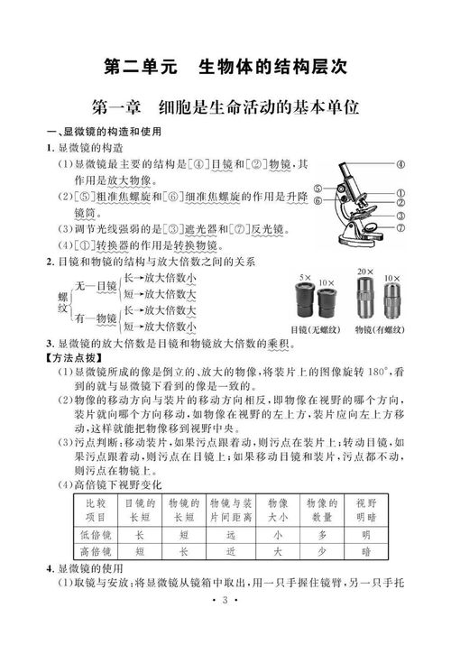 知識點,初中,生物,基礎