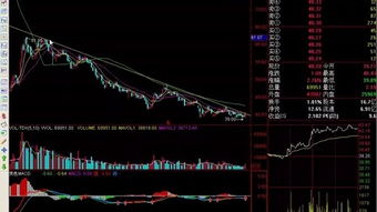 理論知識,入門,基礎(chǔ),股票